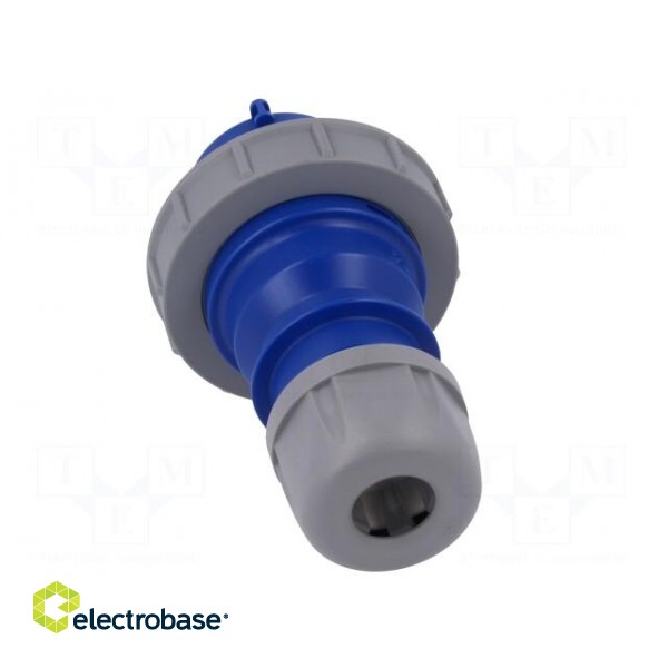 Connector: AC supply | plug | male | 32A | 230VAC | IEC 60309 | IP67 image 5