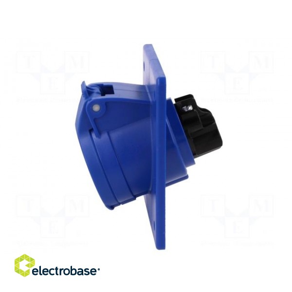 Connector: AC supply | socket | female | 16A | 230VAC | IEC 60309 | IP44 paveikslėlis 4