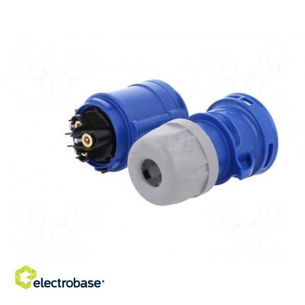 Connector: AC supply | socket | female | 16A | 230VAC | IEC 60309 | IP44 image 7
