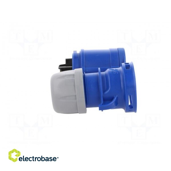 Connector: AC supply | socket | female | 16A | 230VAC | IEC 60309 | IP44 image 8