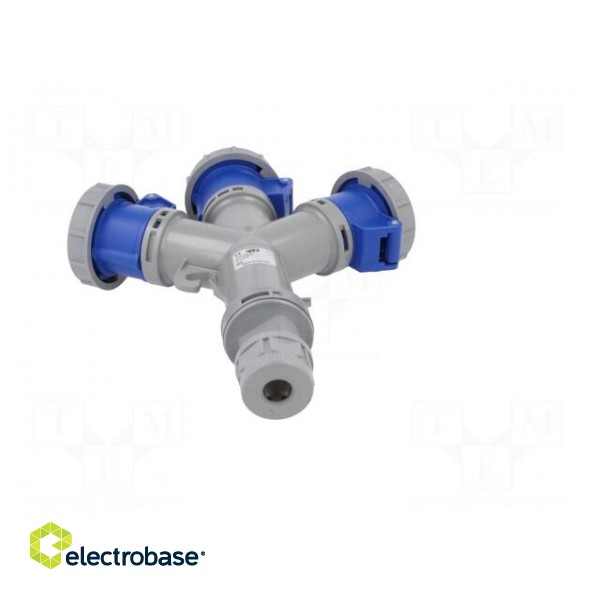 Connector: AC supply | socket | female | 16A | 230VAC | IEC 60309 | IP67 фото 4