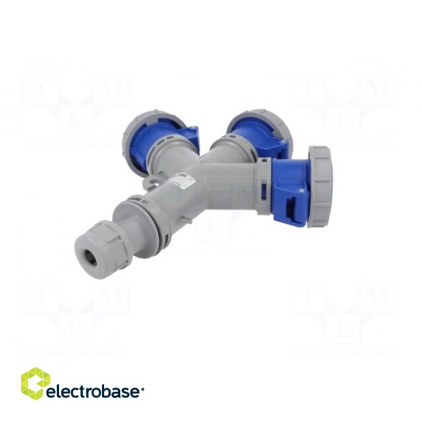 Connector: AC supply | socket | female | 16A | 230VAC | IEC 60309 | IP67 фото 5