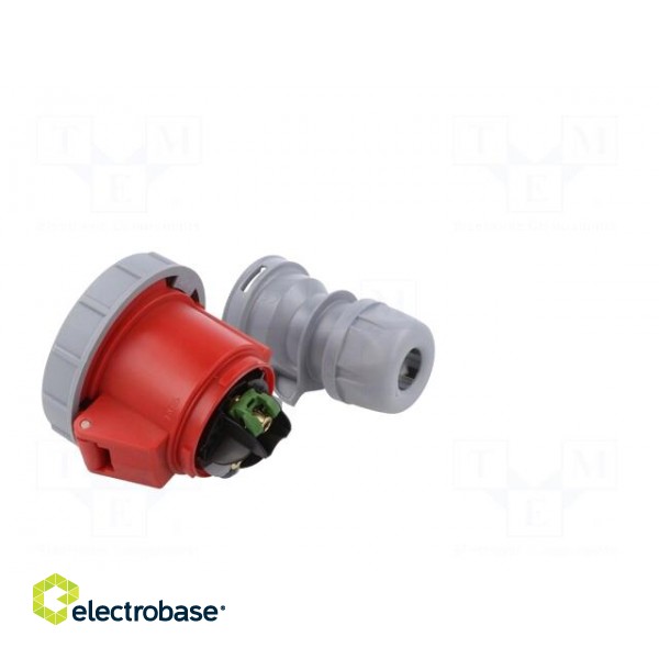 Connector: AC supply | socket | female | 32A | 415VAC | IEC 60309 | IP67 фото 5