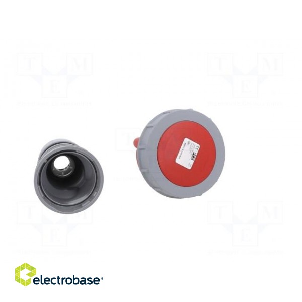 Connector: AC supply | socket | female | 32A | 415VAC | IEC 60309 | IP67 фото 10