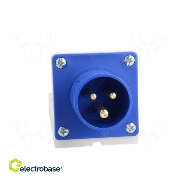 Connector: AC supply | socket | male | 16A | 230VAC | IEC 60309 | IP44 фото 9