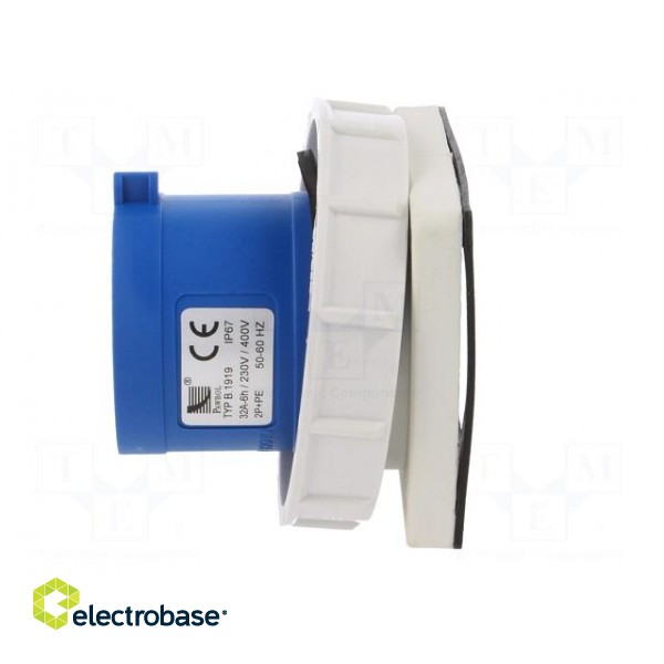 Connector: AC supply | socket | male | 32A | 400VAC | IEC 60309 | IP67 фото 3