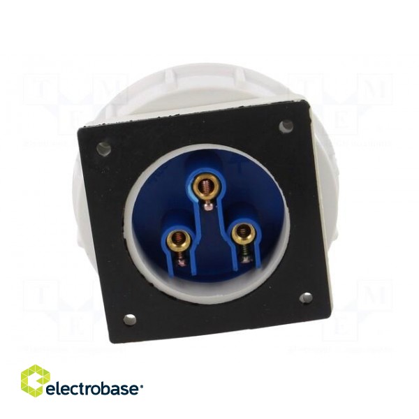 Connector: AC supply | socket | male | 32A | 400VAC | IEC 60309 | IP67 фото 5