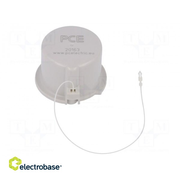 Protection | plug | male | 16A | IEC 60309 | IP67 | Layout: 2P+PE | screwed paveikslėlis 1