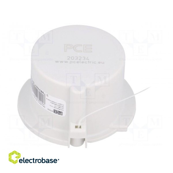 Protection | plug | male | 32A | IEC 60309 | IP67 | Layout: 2P+PE,3P+PE image 1