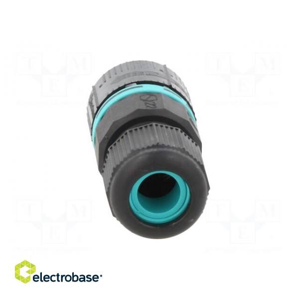 Connector: AC supply | IDC,screw terminal | male | TH387 | 7÷12mm image 5