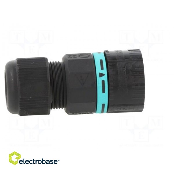 Connector: AC supply | IDC,screw terminal | male | TH387 | 7÷12mm image 7