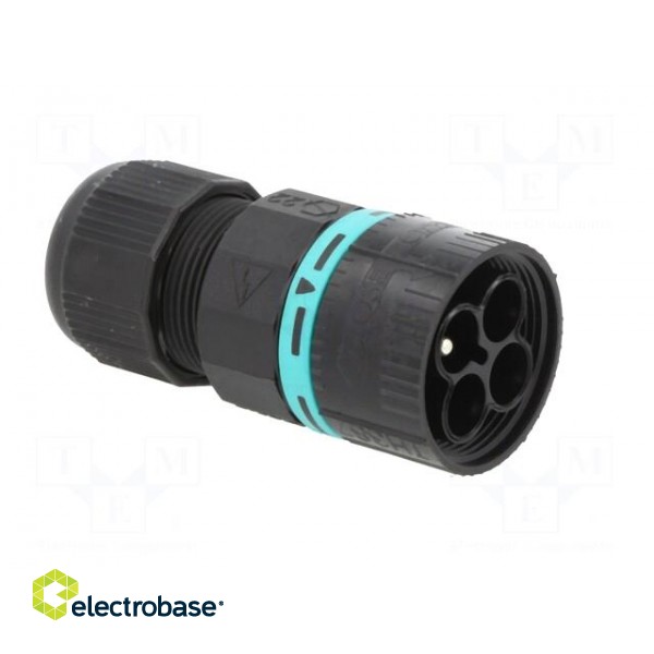 Connector: AC supply | IDC,screw terminal | male | TH387 | 7÷12mm image 8