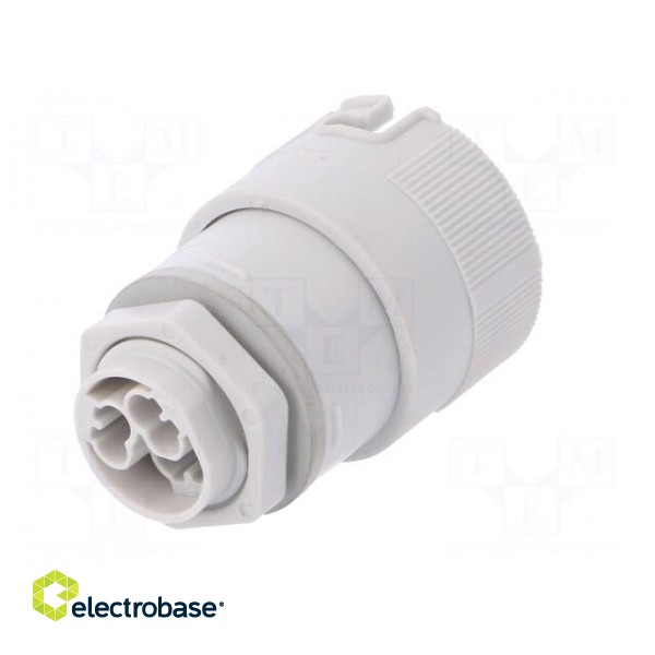 Connector: AC supply | push-in | female | 0.5÷2.5mm2 | 16A | 250V | IP68 image 6