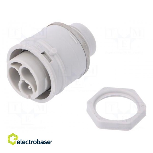 Connector: AC supply | push-in | male | 0.5÷2.5mm2 | 16A | 250V | ways: 3 paveikslėlis 1