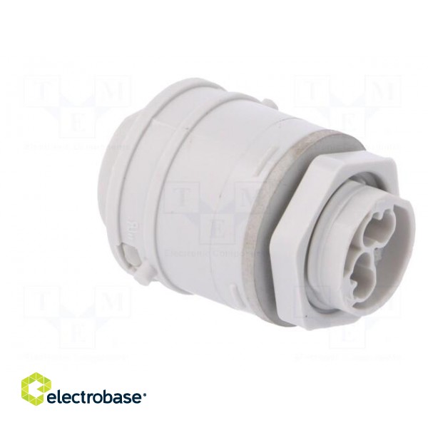 Connector: AC supply | push-in | male | 0.5÷2.5mm2 | 16A | 250V | ways: 3 paveikslėlis 4