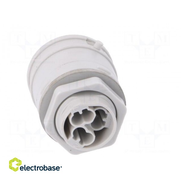 Connector: AC supply | push-in | male | 0.5÷2.5mm2 | 16A | 250V | ways: 3 paveikslėlis 5