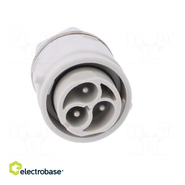 Connector: AC supply | push-in | male | 0.5÷2.5mm2 | 16A | 250V | ways: 3 фото 9