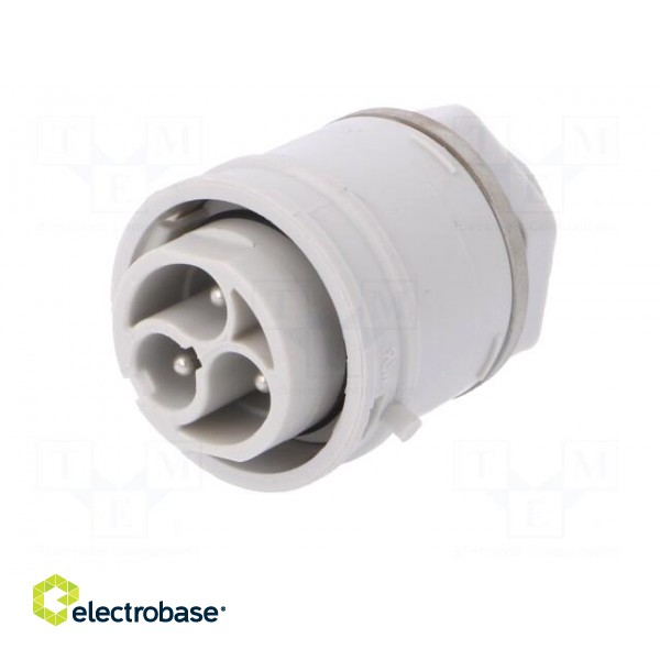 Connector: AC supply | push-in | male | 0.5÷2.5mm2 | 16A | 250V | ways: 3 paveikslėlis 2