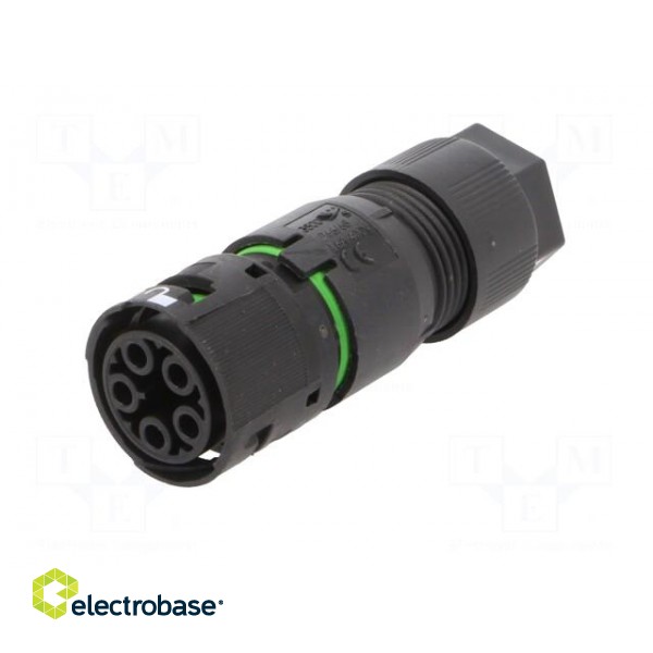 Connector: AC supply | screw terminal | female | 8÷11.5mm | 16A | 400V image 2