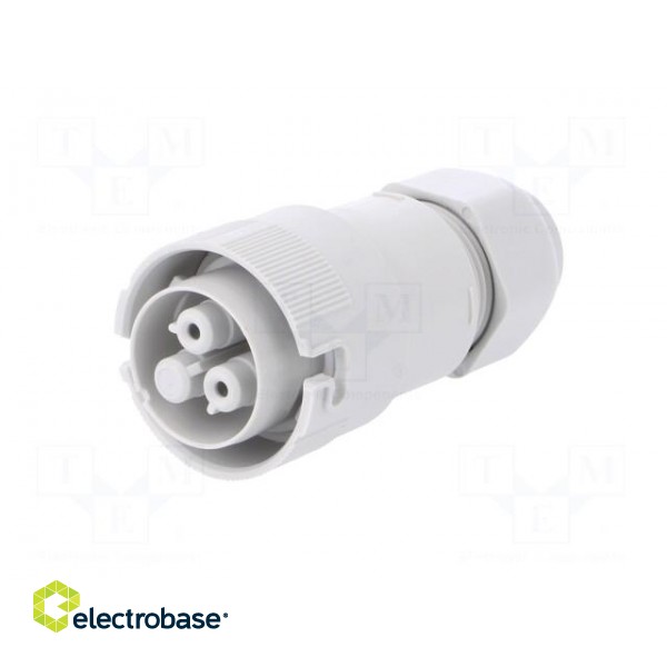 Connector: AC supply | screw terminal | female | 9÷12mm | 1÷2.5mm2 image 2