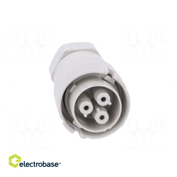 Connector: AC supply | screw terminal | female | 9÷12mm | 1÷2.5mm2 image 9