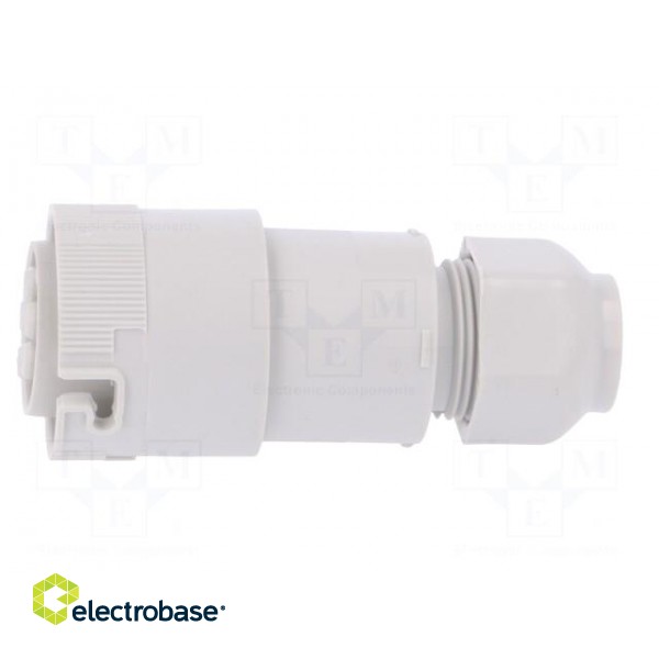 Connector: AC supply | screw terminal | female | 9÷12mm | 1÷2.5mm2 image 1