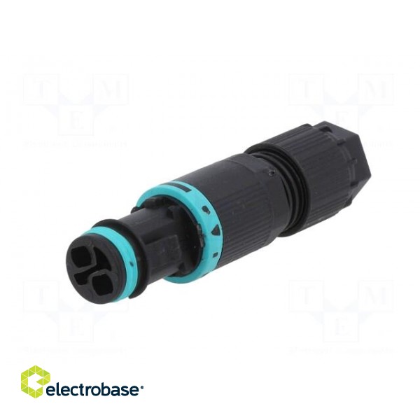 Connector: AC supply | screw terminal | female | TH381 | 7÷8mm | 400V image 2