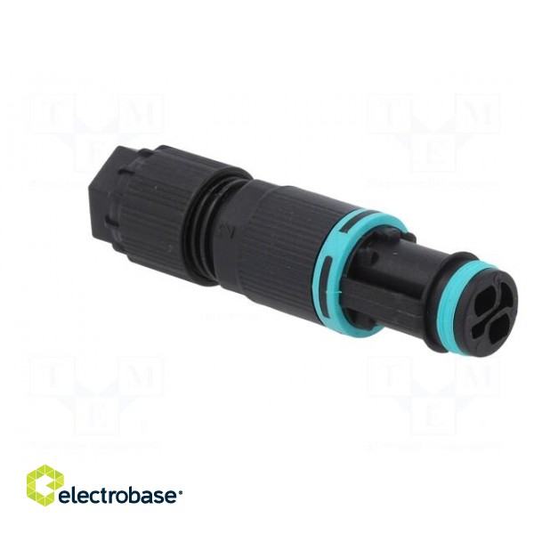 Connector: AC supply | screw terminal | female | TH381 | 7÷8mm | 400V image 8