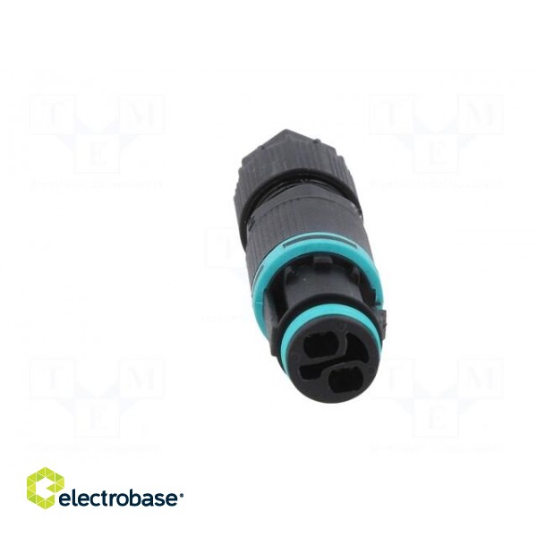 Connector: AC supply | screw terminal | female | TH381 | 7÷8mm | 400V image 9