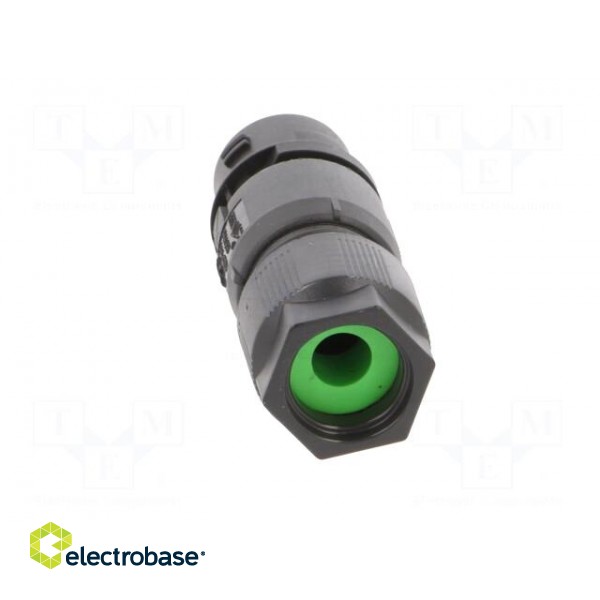 Connector: AC supply | screw terminal | male | 6.5÷8mm | 0.5÷1.5mm2 image 5