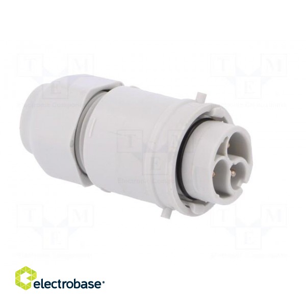 Connector: AC supply | screw terminal | male | 9÷12mm | 1÷2.5mm2 | 16A image 8