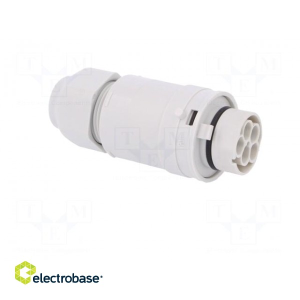 Connector: AC supply | screw terminal | male | 9÷12mm | 1÷2.5mm2 | 16A image 8