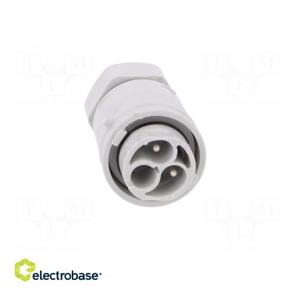 Connector: AC supply | screw terminal | male | 9÷12mm | 1÷2.5mm2 | 16A paveikslėlis 9