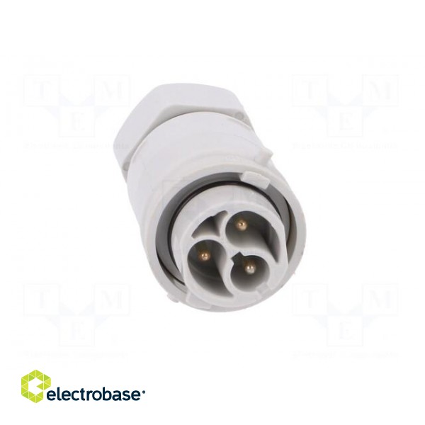 Connector: AC supply | screw terminal | male | 9÷12mm | 1÷2.5mm2 | 16A image 9