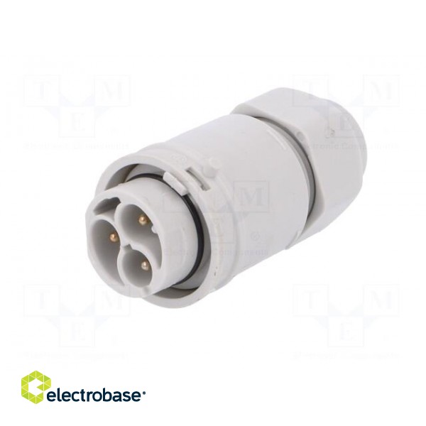 Connector: AC supply | screw terminal | male | 9÷12mm | 1÷2.5mm2 | 16A image 2