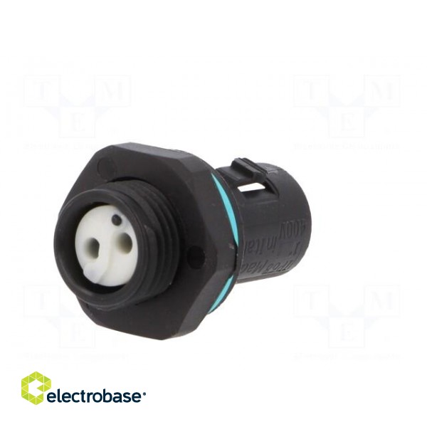 Connector: AC supply | screw terminal | male | TH381 | 0.25÷1mm2 | 400V image 6