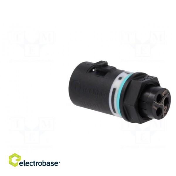 Connector: AC supply | screw terminal | male | TH381 | 0.25÷1mm2 | 400V image 4