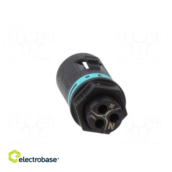 Connector: AC supply | screw terminal | male | TH381 | 0.25÷1mm2 | 400V image 5
