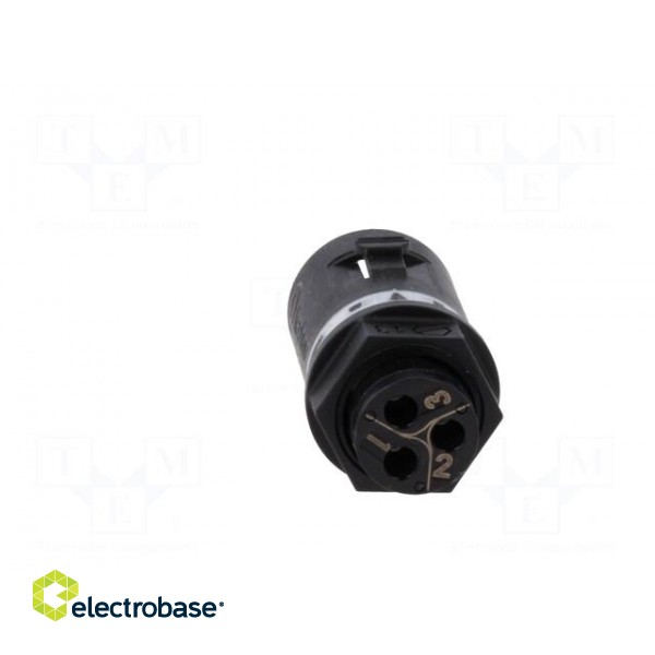 Connector: AC supply | screw terminal | male | TH381 | 0.25÷1mm2 | 400V image 5