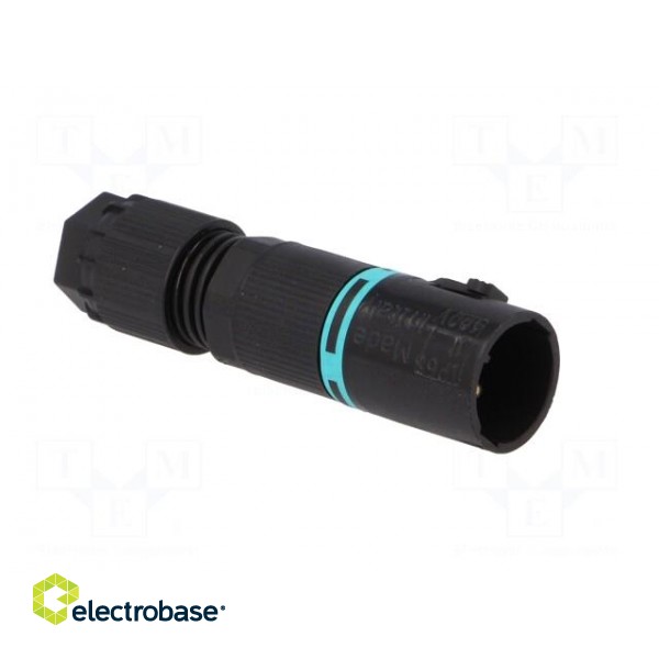 Connector: AC supply | screw terminal | male | TH381 | 5.8÷6.9mm | 400V image 8