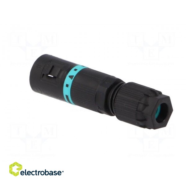 Connector: AC supply | screw terminal | male | TH381 | 5.8÷6.9mm | 400V image 4