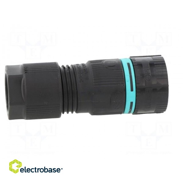 Connector: AC supply | screw terminal | male | TH387 | 7÷13.5mm | 500V image 7