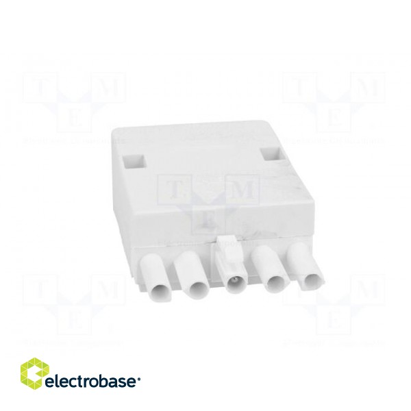 Connector: pluggable terminal block | screw terminal | male | 16A image 9