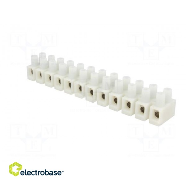 Terminal block | screw terminal | 10mm2 | 500V | 57A | ways: 12 | white image 6