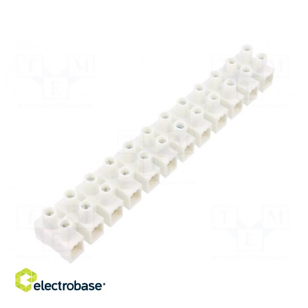 Terminal block | screw terminal | 10mm2 | 450V | ways: 12 | natural