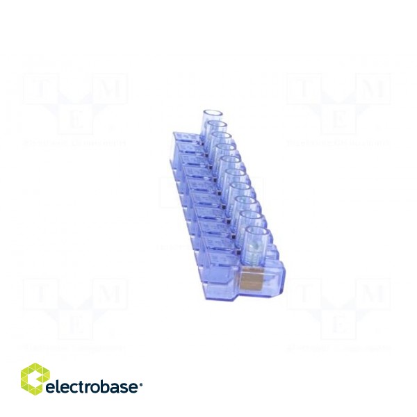 Terminal block | screw terminal | 4mm2 | 450V | ways: 10 | terminals: 10 image 3