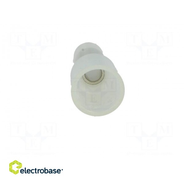 Close end | crimped | L: 20mm | Variant: insulated | UL94V-2 фото 5