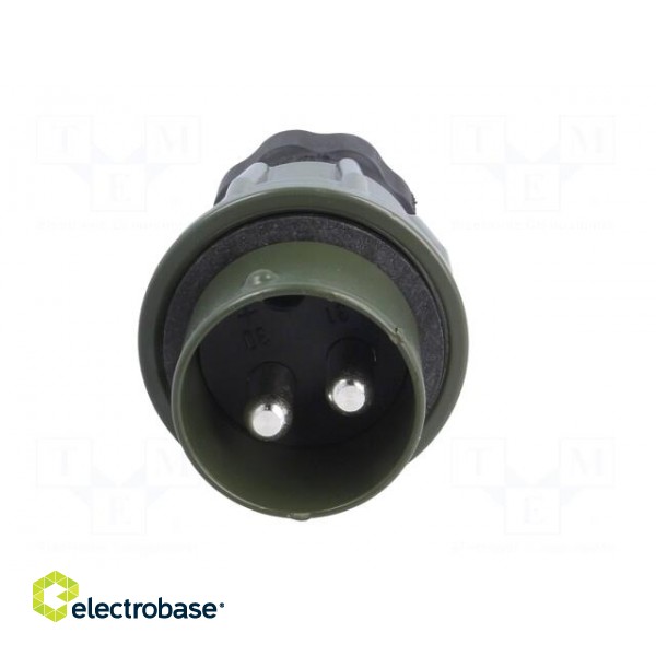 Connector: circular | plug | male | PIN: 2 | for cable | soldering | olive image 9