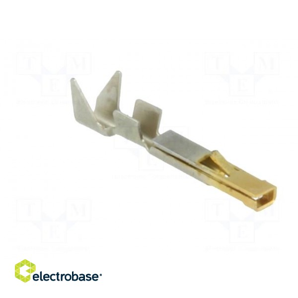Contact | female | 22AWG÷20AWG | SSL 1.2 | gold-plated | crimped | 5A paveikslėlis 8