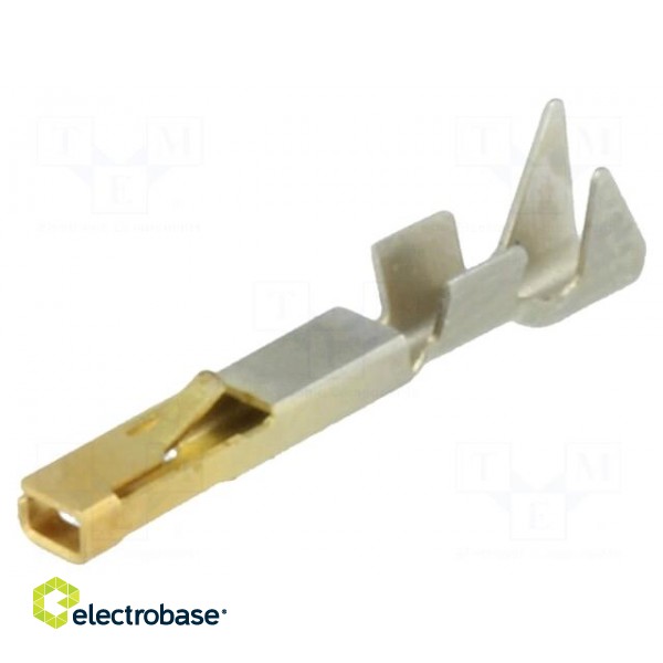 Contact | female | 22AWG÷20AWG | SSL 1.2 | gold-plated | crimped | 5A фото 1